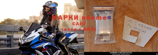 прущие грибы Елизово