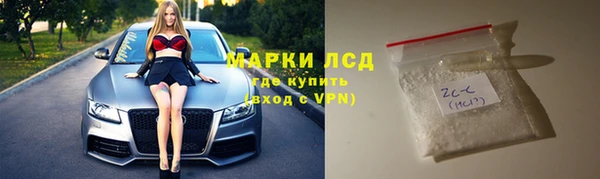 прущие грибы Елизово