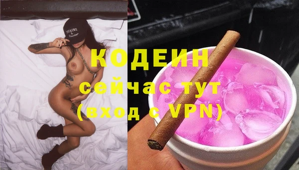 прущие грибы Елизово