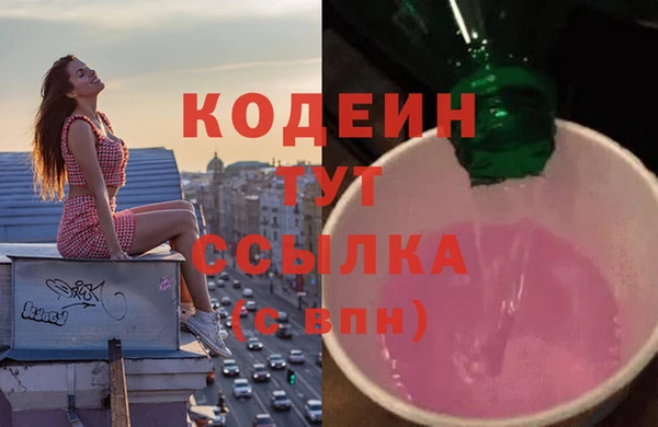 прущие грибы Елизово
